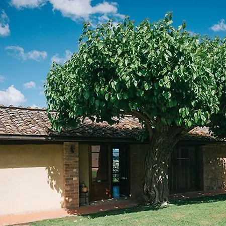 Fattorie Di Santo Pietro 팜스테이 산지미냐노